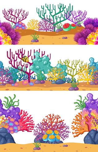 Três cenas subaquáticas com recife de coral vetor