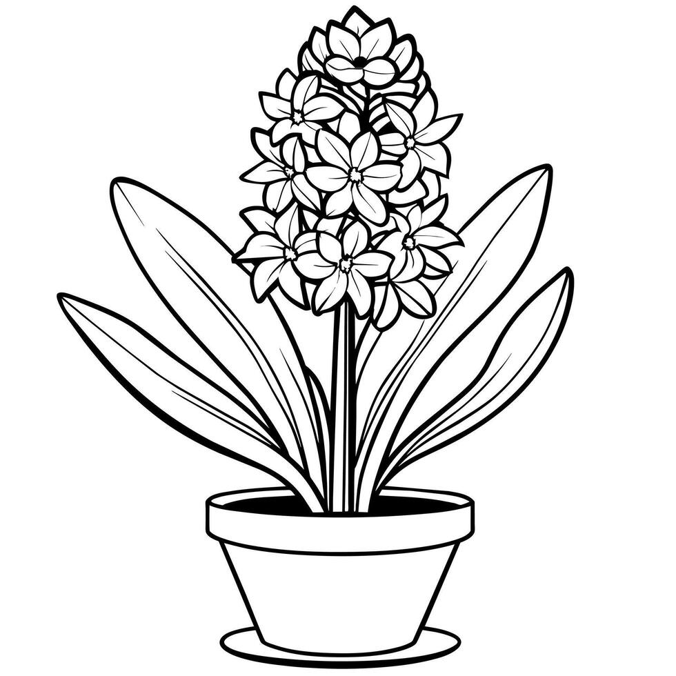 jacinto flor esboço ilustração coloração livro página projeto, jacinto flor Preto e branco linha arte desenhando coloração livro Páginas para crianças e adultos vetor