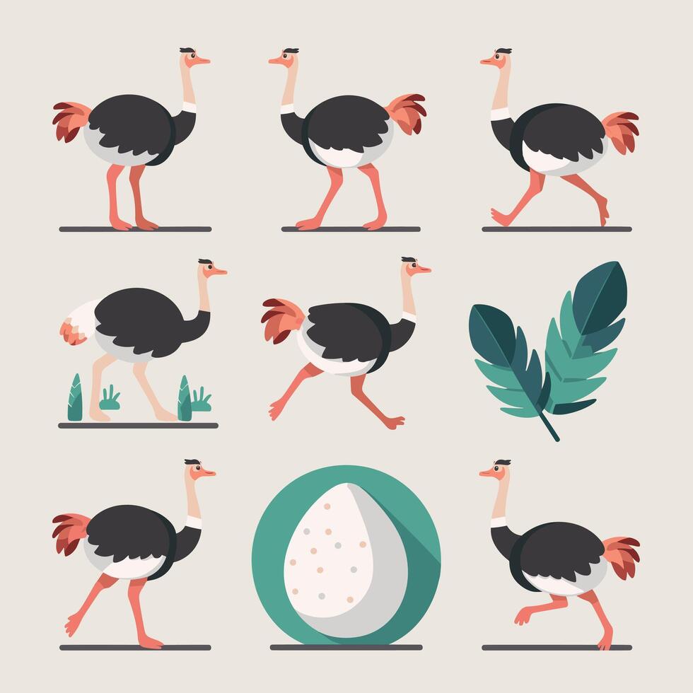 fofa avestruz animal desenho animado animais ilustração isolado em branco fundo. vetor