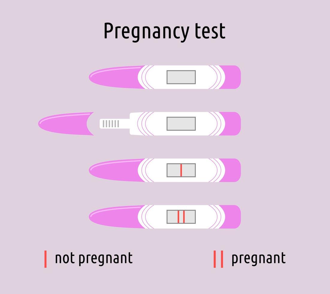 conjunto isolado de teste de gravidez. resultados negativos e positivos. testes com uma e duas listras, grávidas e não, abertas e fechadas. coleção de ilustrações vetoriais de objetos planos vetor