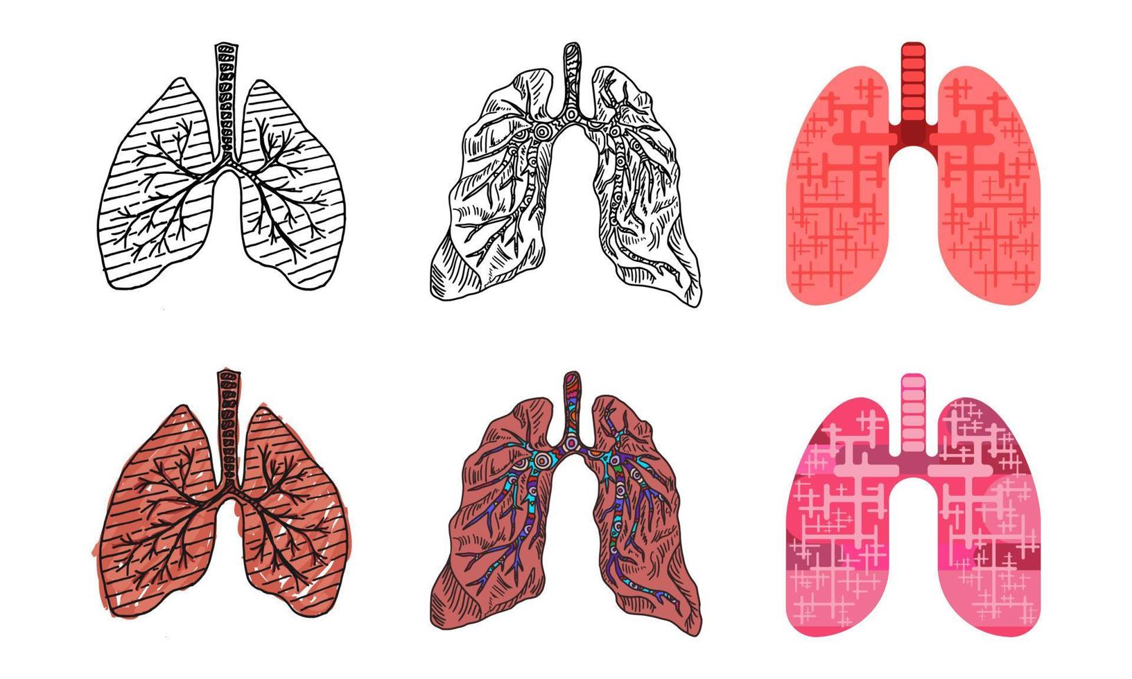 desenhos de pulmões humanos em diferentes estilos de desenho vetor