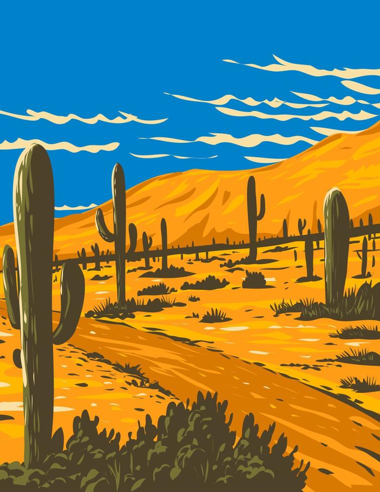 parque estadual de pico de picacho com cacto saguaro em picacho arizona eua arte do pôster wpa vetor