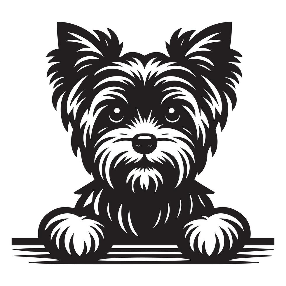 cachorro espreitar - yorkshire terrier cachorro espreitar face ilustração dentro Preto e branco vetor