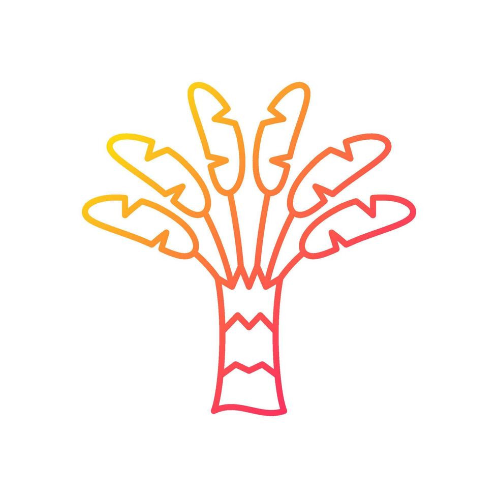 ícone de vetor linear gradiente palm viajante. planta tropical ao ar livre. árvore do viajante. ravenala madagascariensis. símbolo de cor de linha fina. pictograma de estilo moderno. desenho de contorno isolado de vetor