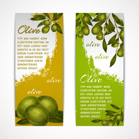 Banners verticais de oliva vetor