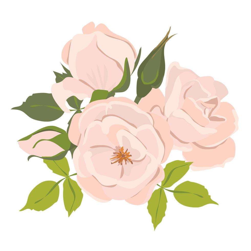 rosa flor ramalhete, Projeto elemento isolado em branco fundo. branco e creme rosas dentro plano estilo. elemento para a Projeto do Casamento convites. vetor