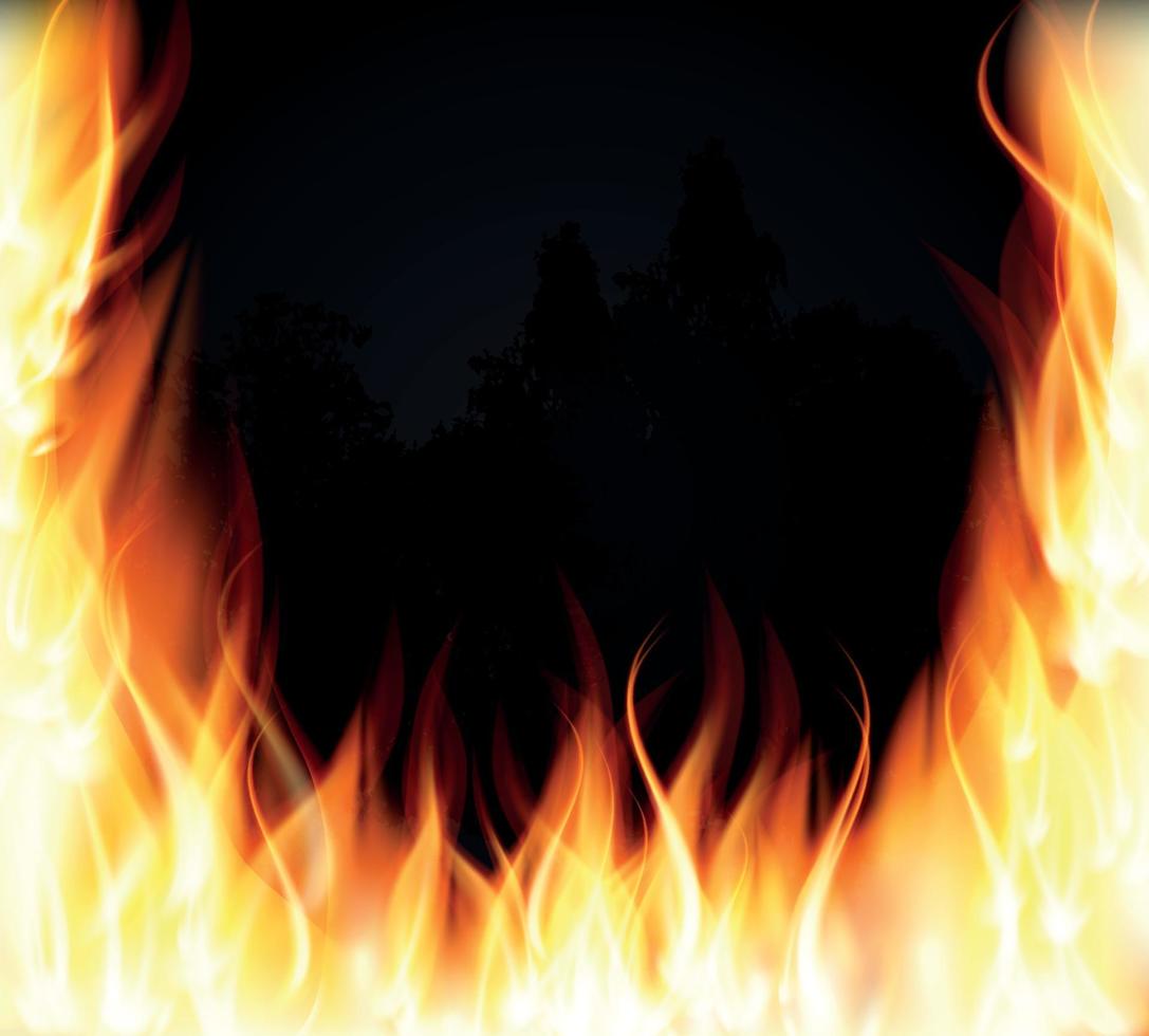 árvores em chamas. incêndio. queimando chamas de efeito de luz especial. ilustração vetorial eps10 vetor