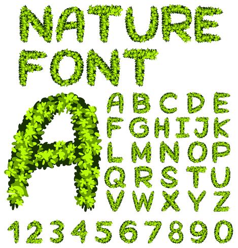 Projeto de fonte para alfabetos e números em folhas verdes vetor