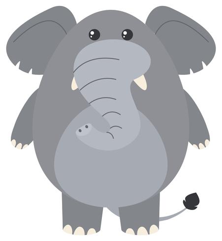 Elefante cinzento em fundo branco vetor