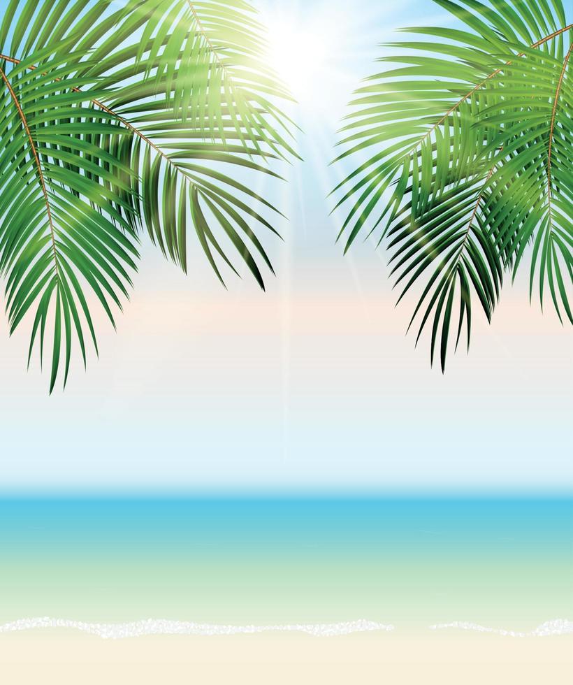 ilustração de fundo vetorial em folha de palmeira à beira-mar no horário de verão vetor