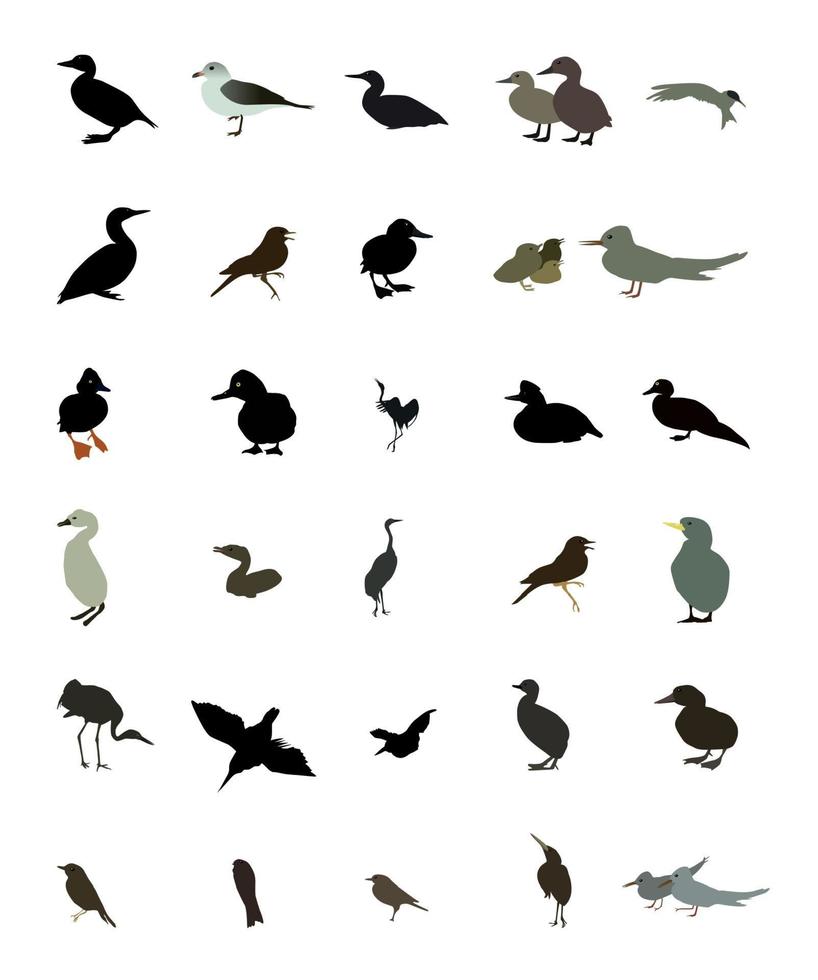 conjunto de silhuetas preto e brancas de pássaros, pomba, pato, gaivota, pavão e beija-flor. ilustração vetorial. vetor