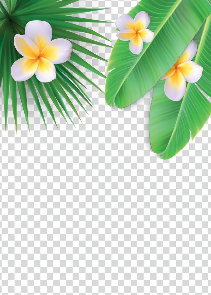 quadro floral natural de verão em ilustração vetorial de fundo transparente vetor