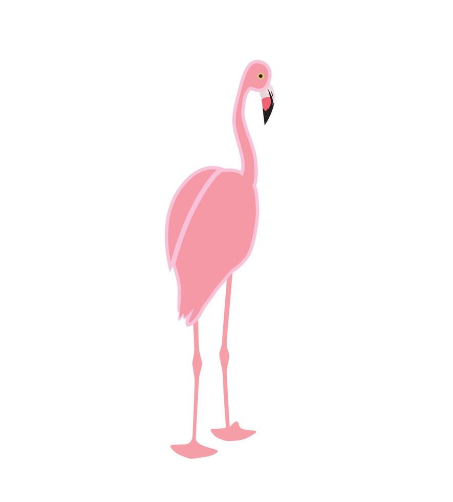 flamingo rosa colorido isolado no fundo branco. ilustração vetorial. vetor