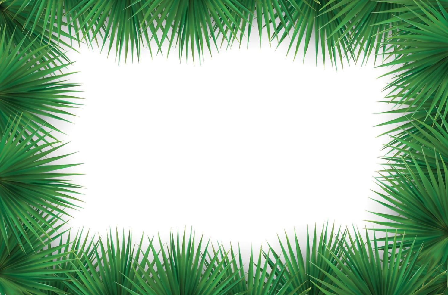 moldura naturalista colorida da palma da folha. ilustração vetorial. vetor