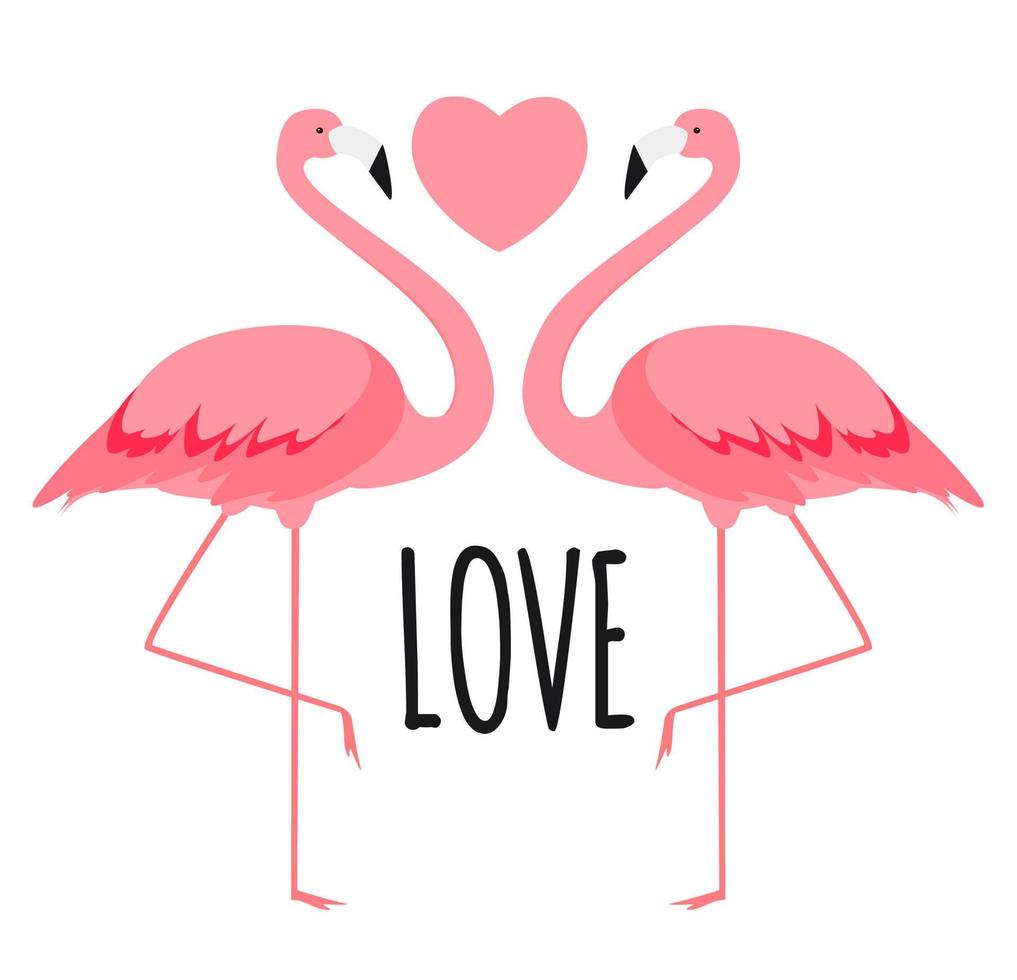 cartão bonito com flamingos. amor e fundo de dia dos namorados. ilustração vetorial vetor