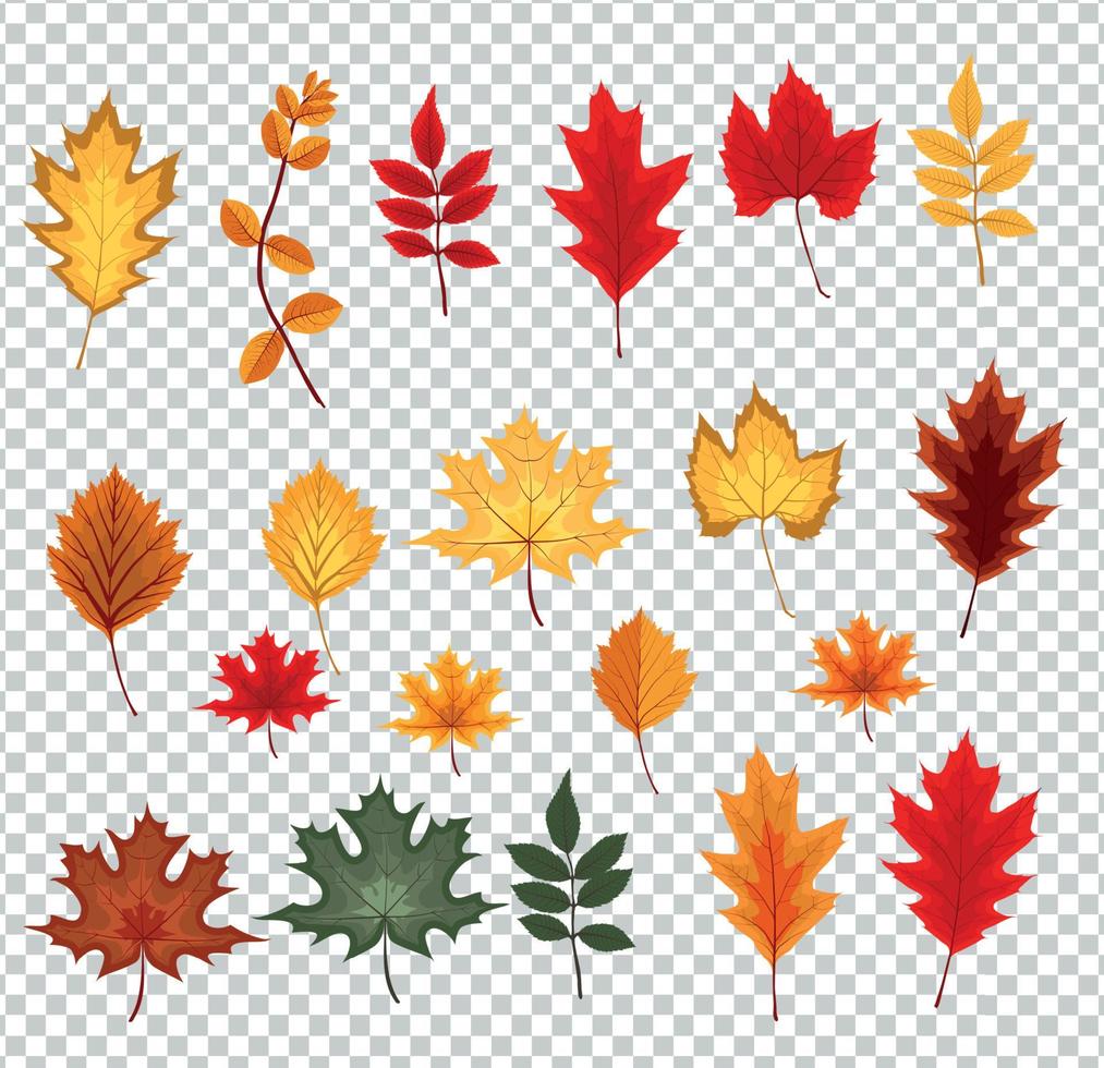 ilustração em vetor abstrato com folhas de outono caindo em fundo transparente