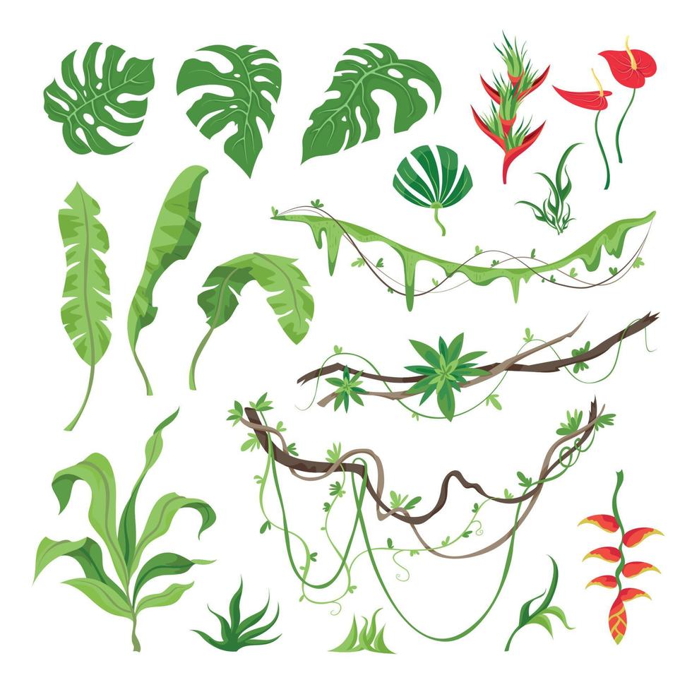 conjunto de plantas da selva vetor