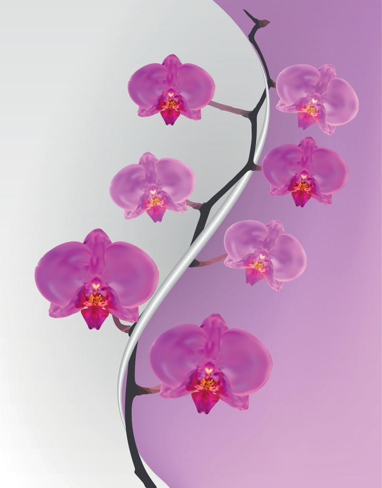 flores do ramo da orquídea rosa. ilustração vetorial. vetor