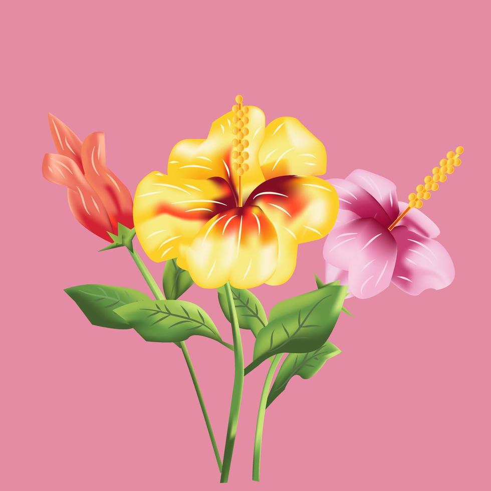 vetor de flor de hibisco