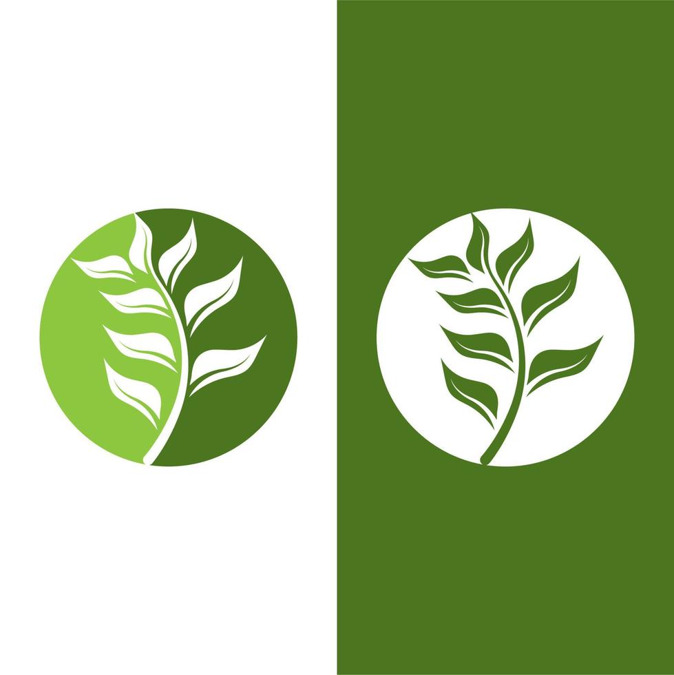 logotipos da ecologia de folhas verdes vetor