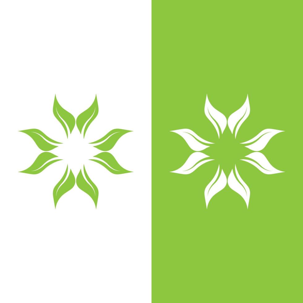 logotipos da ecologia de folhas verdes vetor