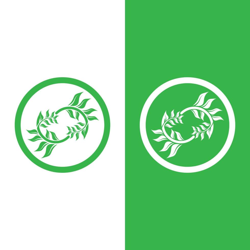 logotipos da ecologia de folhas verdes vetor