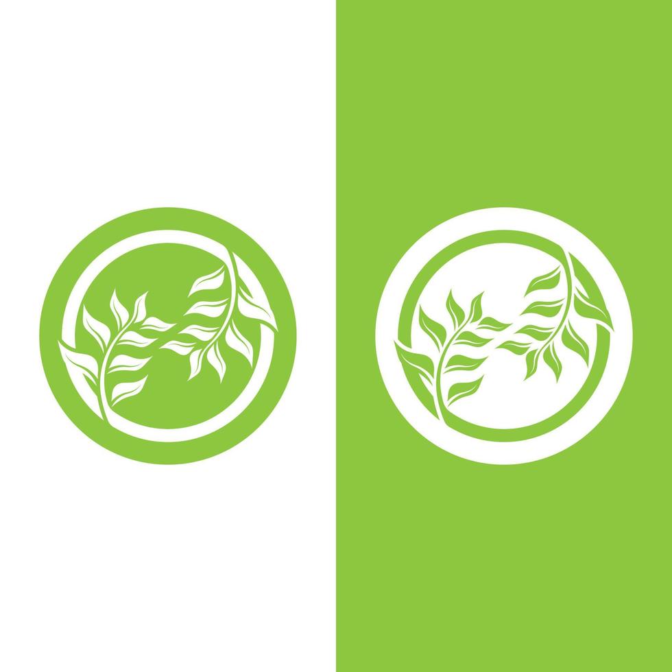 logotipos da ecologia de folhas verdes vetor