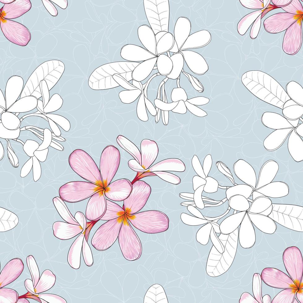 padrão sem emenda floral com flores de frangipani rosa pastel fundo abstrato. ilustração vetorial arte linha desenhada à mão. para design de impressão em tecido têxtil vetor