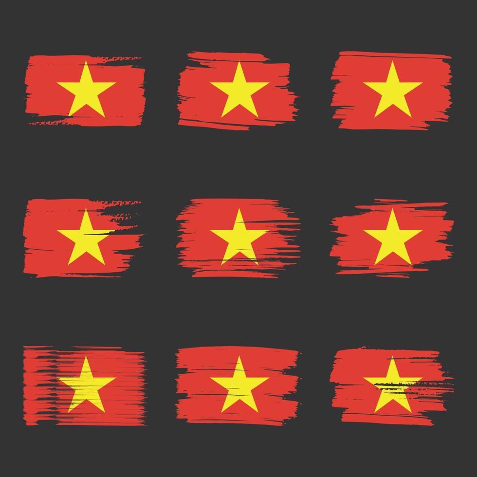 Traçados de pincel da bandeira do vietnã pintados vetor
