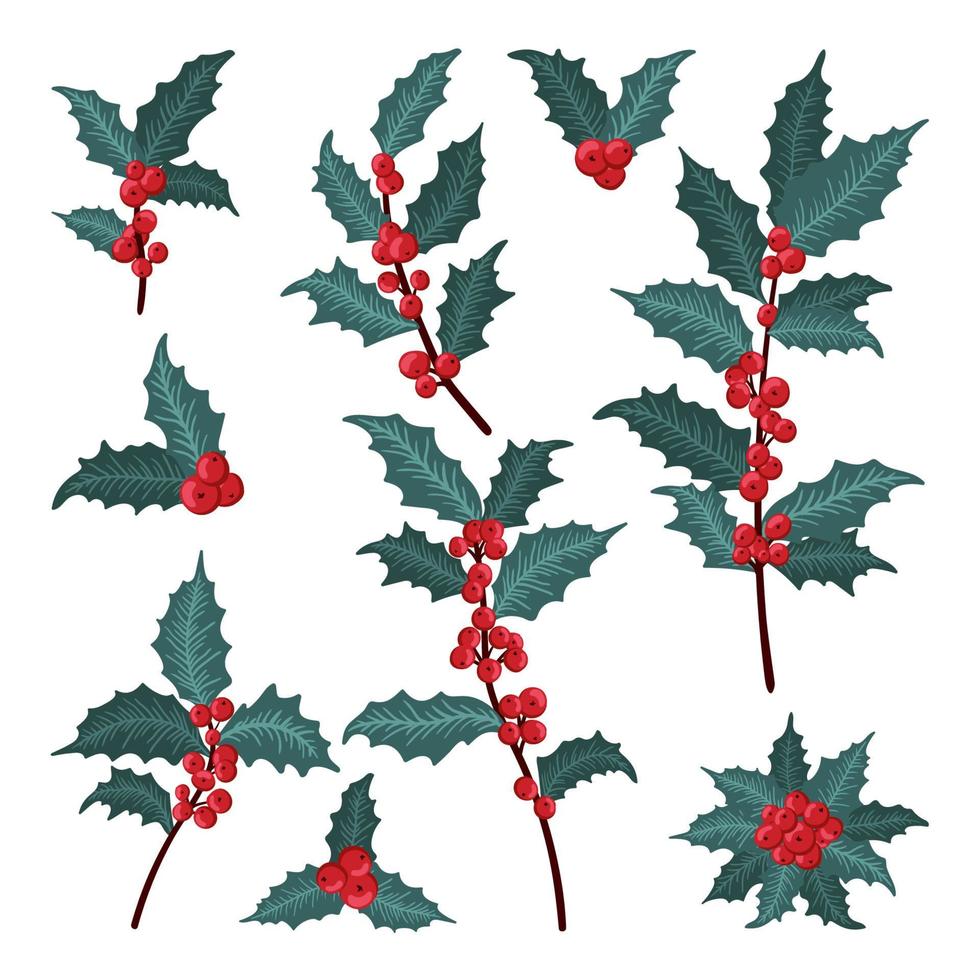 conjunto de baga de azevinho de natal, folha verde, baga vermelha, ramos, galhos. ilustração vetorial de inverno isolada no fundo branco para cartões de Natal e design decorativo. vetor