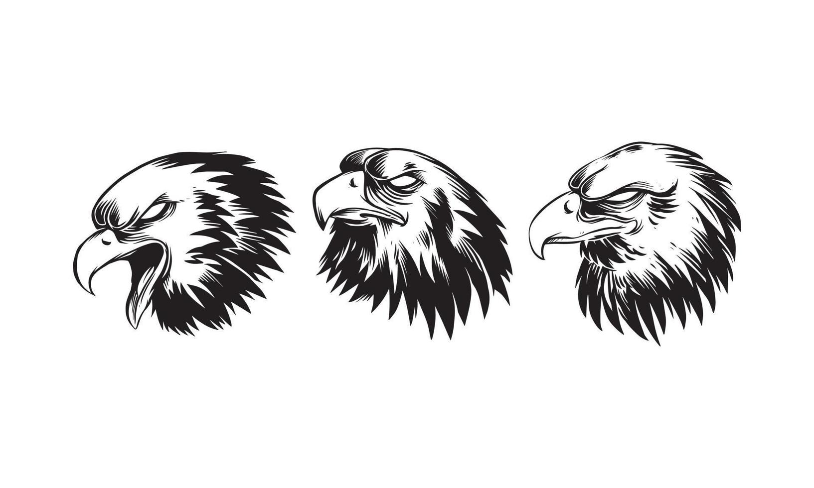 conjunto de ilustrações desenhadas à mão de uma cabeça de águia arrojada vetor