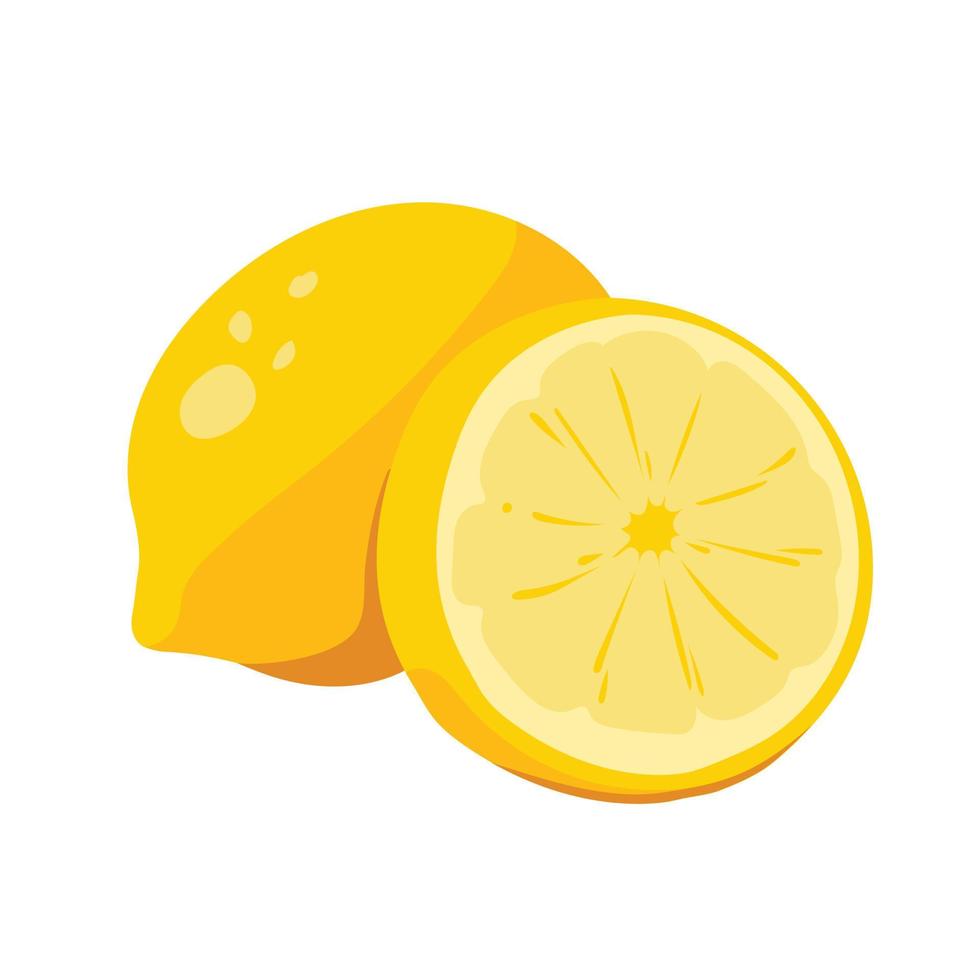 limão fresco cortado. a coleção de ilustração de frutas tropicais em desenho vetorial. alimentos saudáveis, suculentos e azedos. animação de fruta colorida isolada no fundo branco. vetor