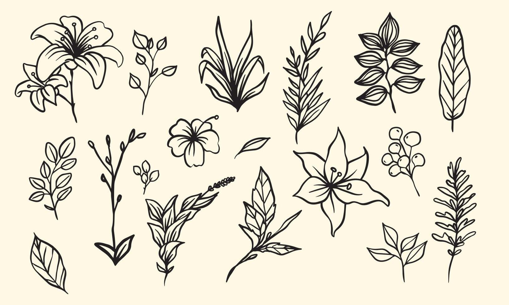 composição de plantas e flores para moldura de decoração, ilustração simples de folhas desenhadas à mão, elementos florais vetoriais para design romântico e vintage vetor