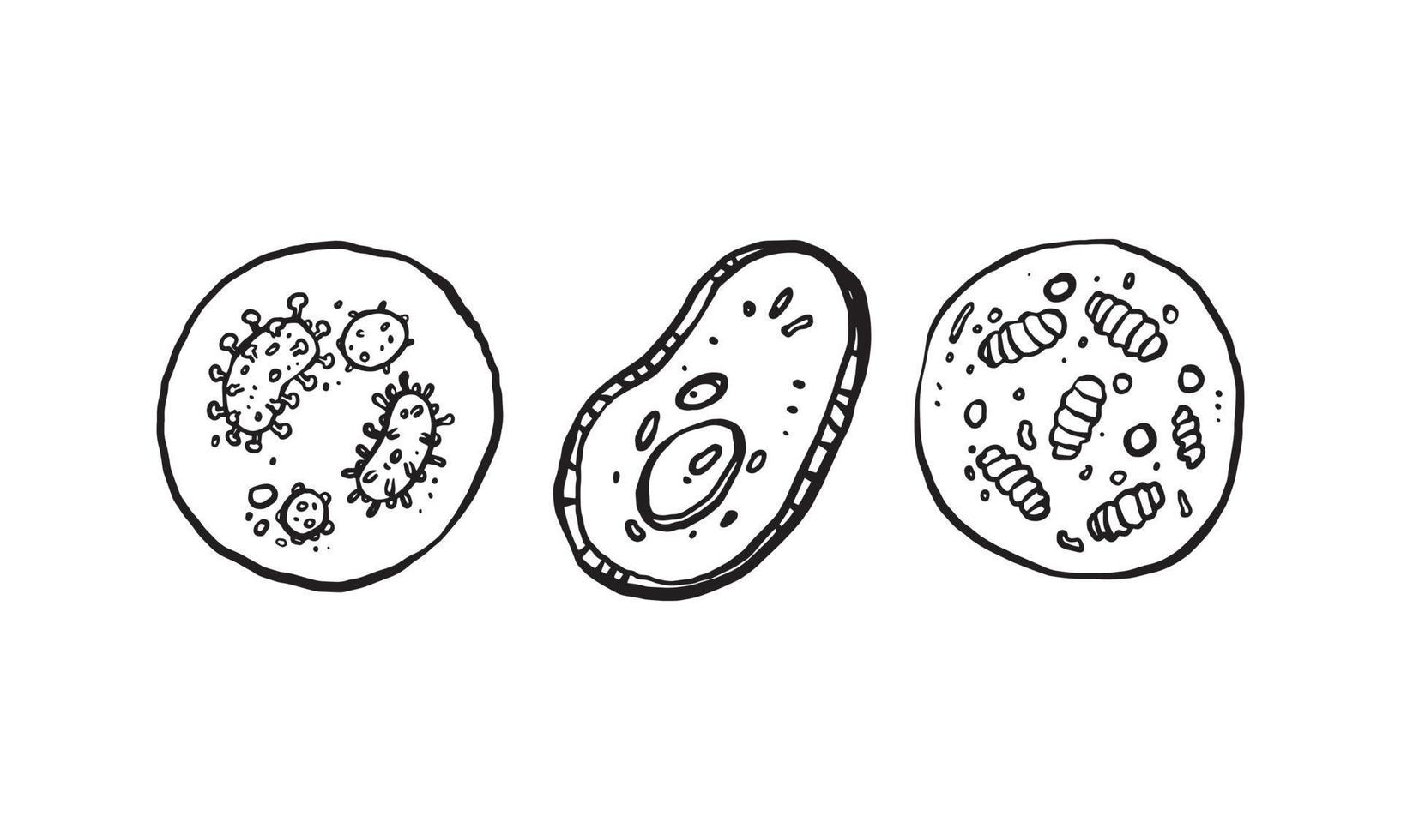conjunto simples de 3 vetores de mão desenhada de vírus. mão desenhada linha arte dos desenhos animados. ícone isolado em fundo branco