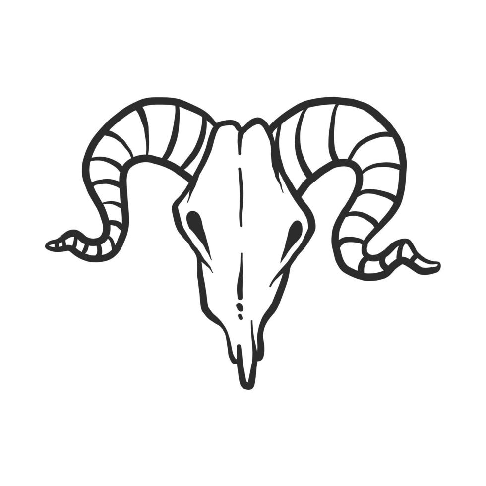 crânio de búfalo chifre circular desenhado a partir da frente. ilustração vetorial de arte de linha vetor