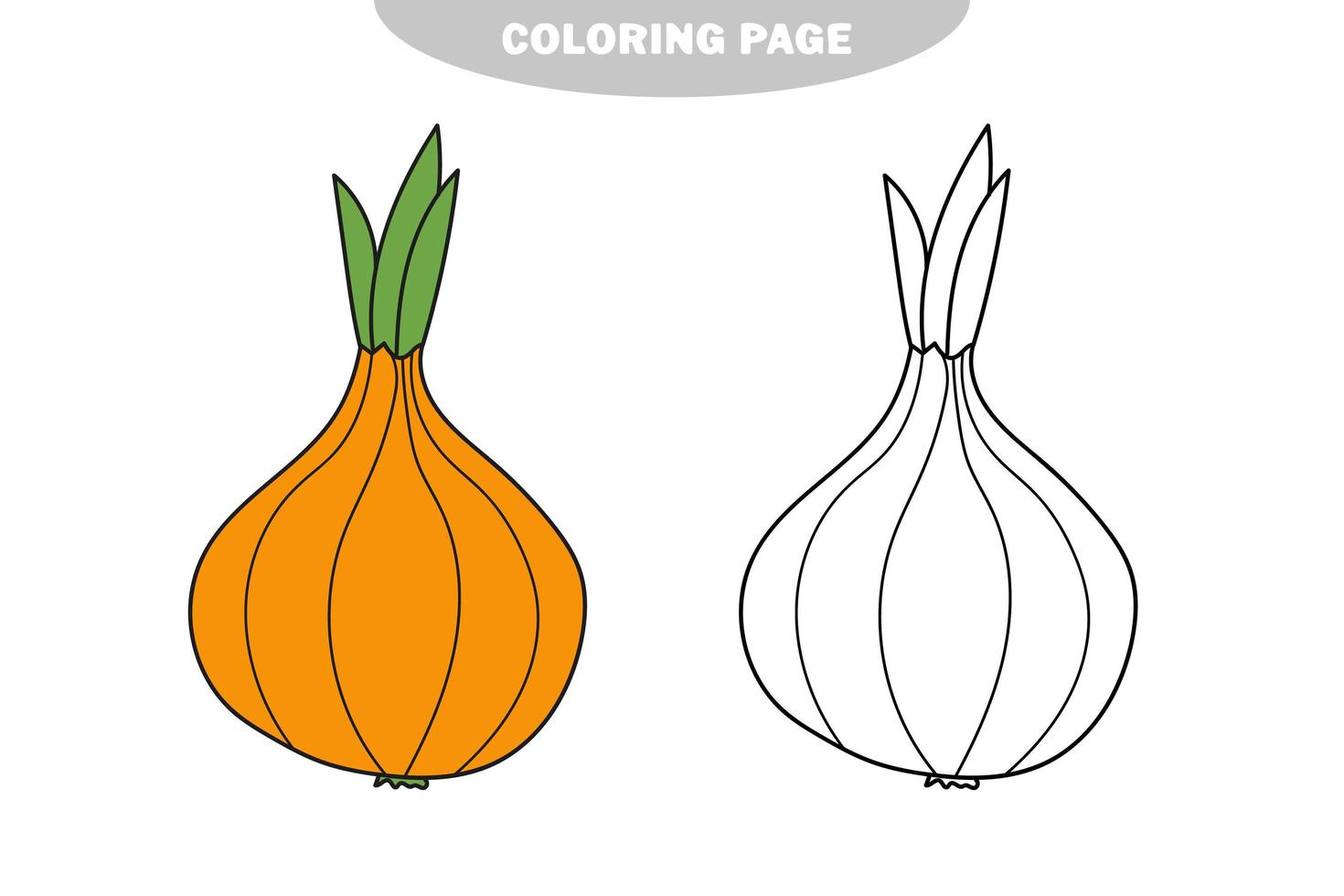 página para colorir simples. cebola - arte em linha. legumes vetor