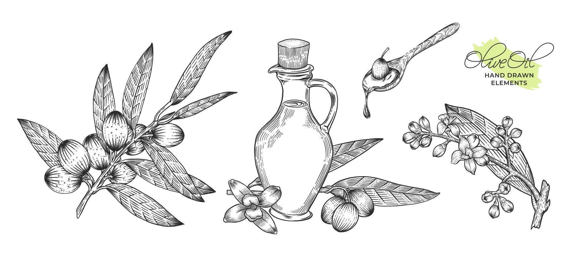 pacote de ilustrações desenhadas à mão com azeite de oliva vetor