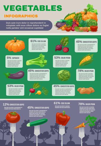 Conjunto de infográfico de legumes vetor