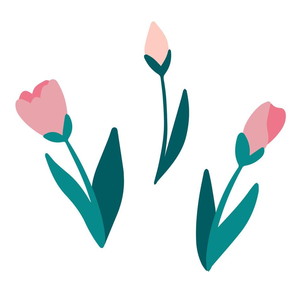 conjunto de tulipas de flores. flores da primavera. conjunto de elementos decorativos de design floral. ilustração em vetor plana dos desenhos animados.