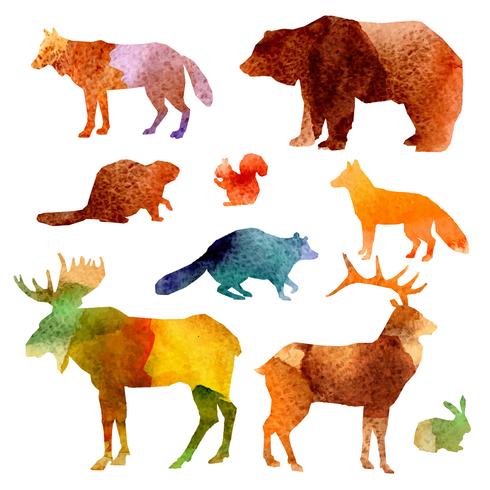 Conjunto de animais em aquarela vetor