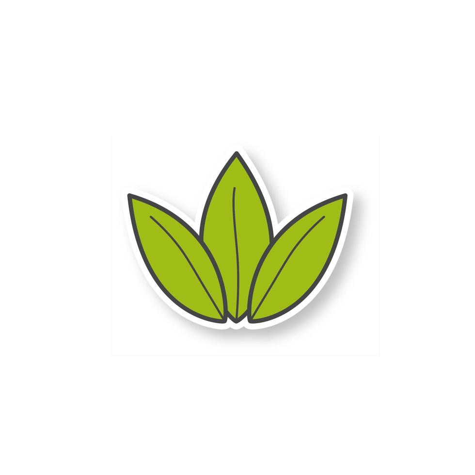 patch de folha de chá verde. folhas de chá soltas. adesivo de cor. ilustração isolada do vetor