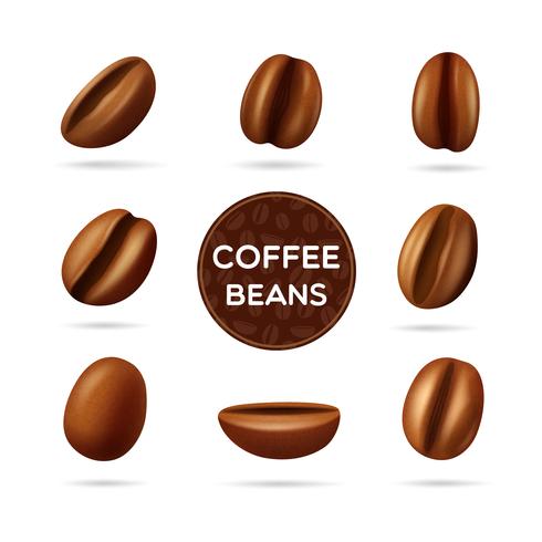 Conjunto de conceito de grãos de café vetor