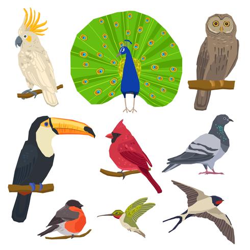 Conjunto de ícones de pássaro desenhado vetor