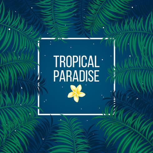 Modelo de plano de fundo do paraíso tropical noite estrelada vetor