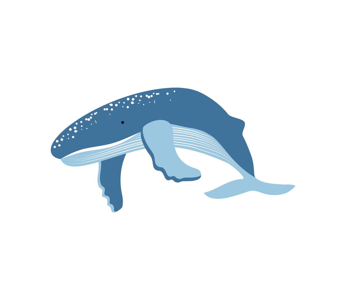 ícone de baleia azul vetor