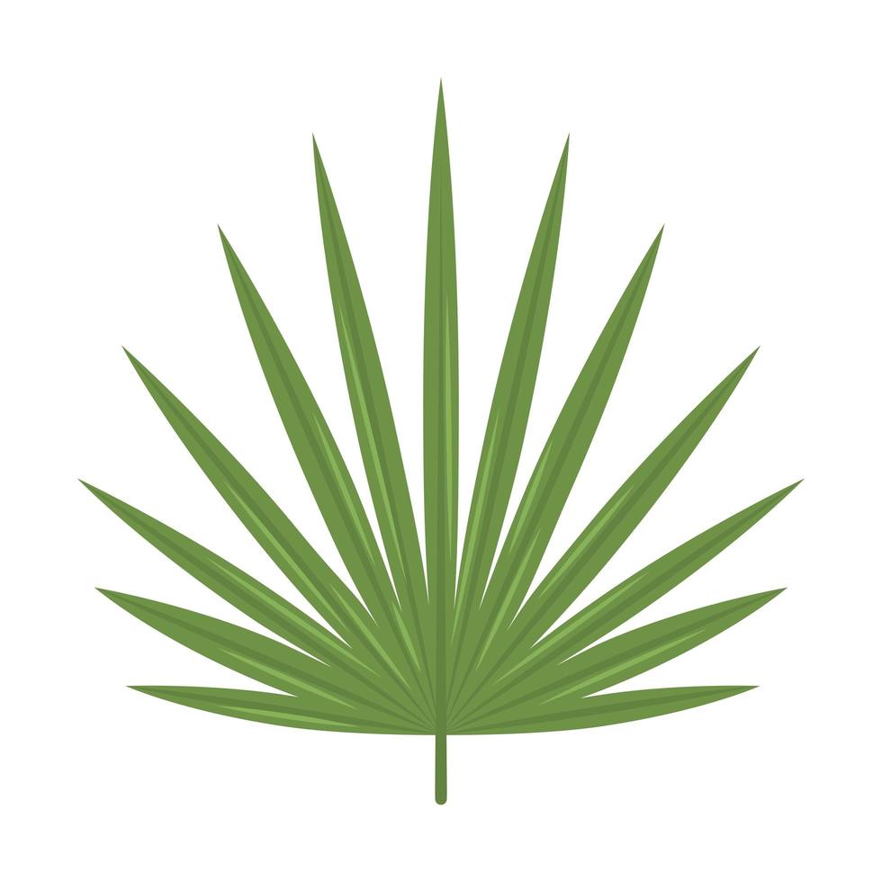 ícone plana tropical de folha vetor