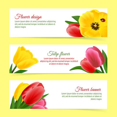 Conjunto de banner de tulipa vetor