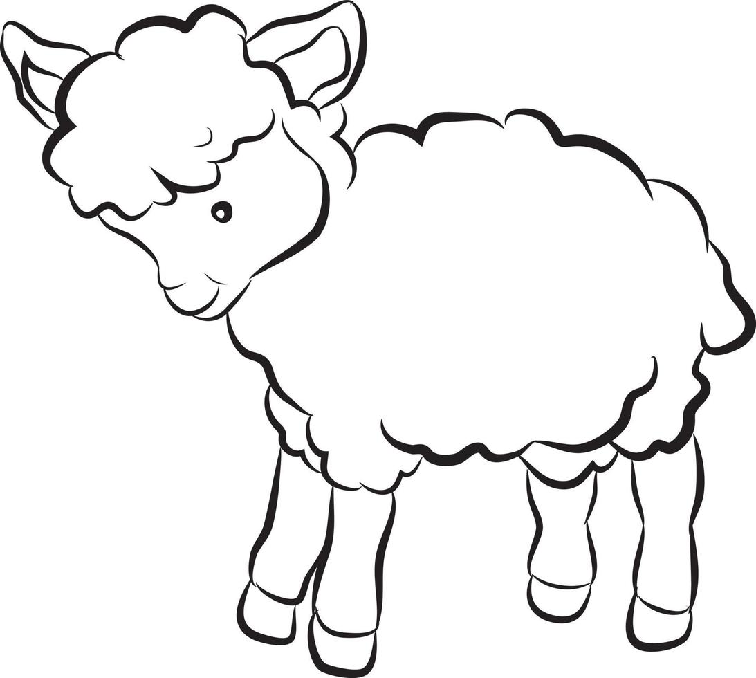 ovelha de desenho animado preto e branco vetor