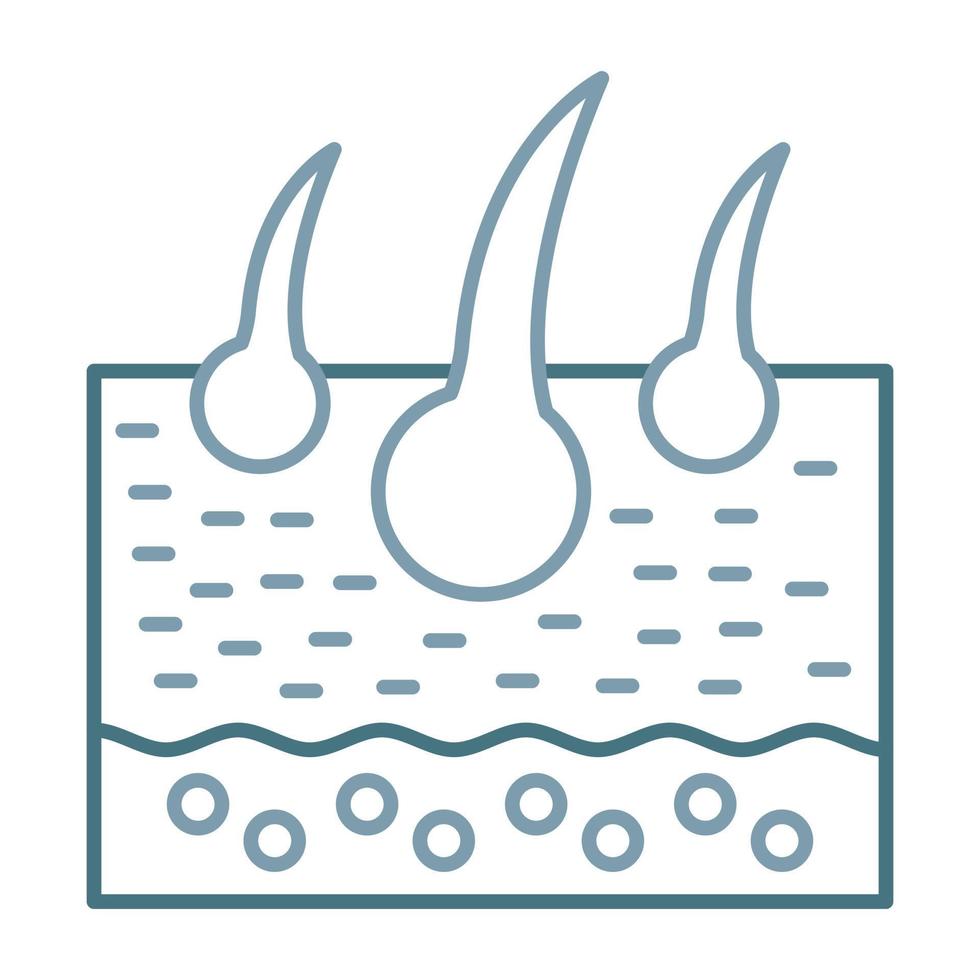 ícone de duas cores de linha de pele vetor