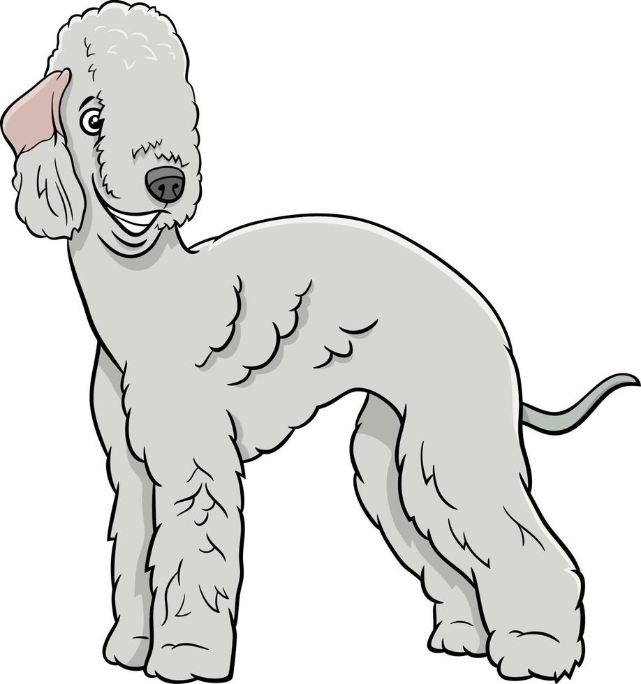 desenho animado bedlington terrier cão de raça pura animal personagem vetor